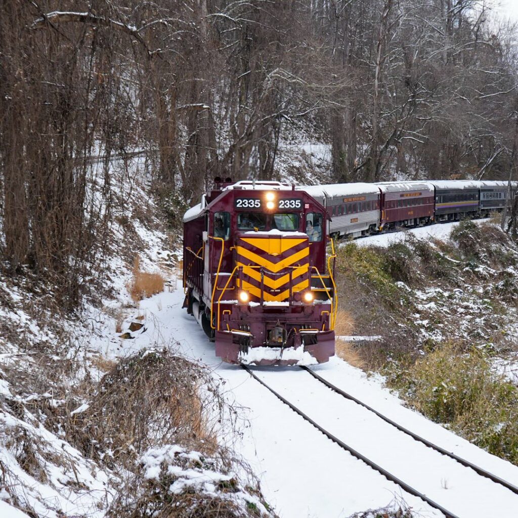 GSMR Winter Train